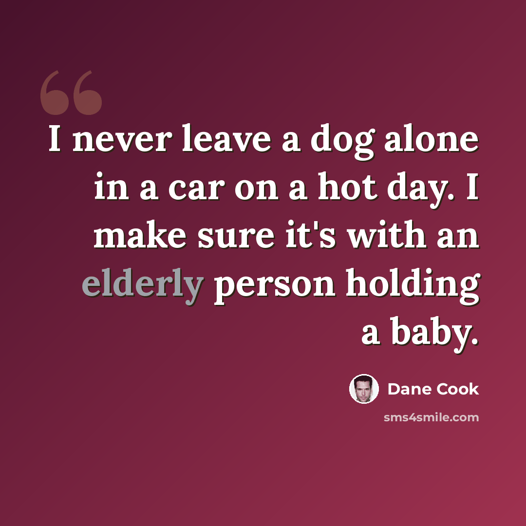 “I never leave a dog alone in a car on a hot day. I make sure it's with an elderly person holding a baby.” quote by Dane Cook