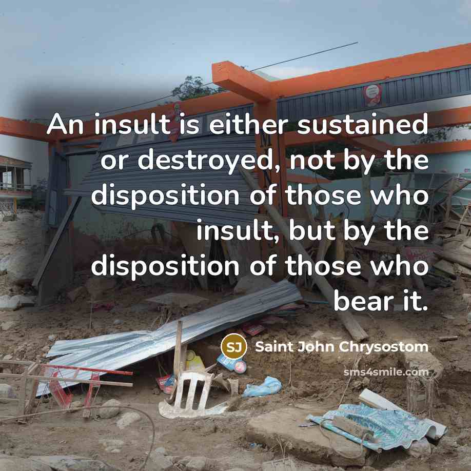 “An insult is either sustained or destroyed, not by the disposition of those who insult, but by the disposition of those who bear it.” quote by Saint John Chrysostom