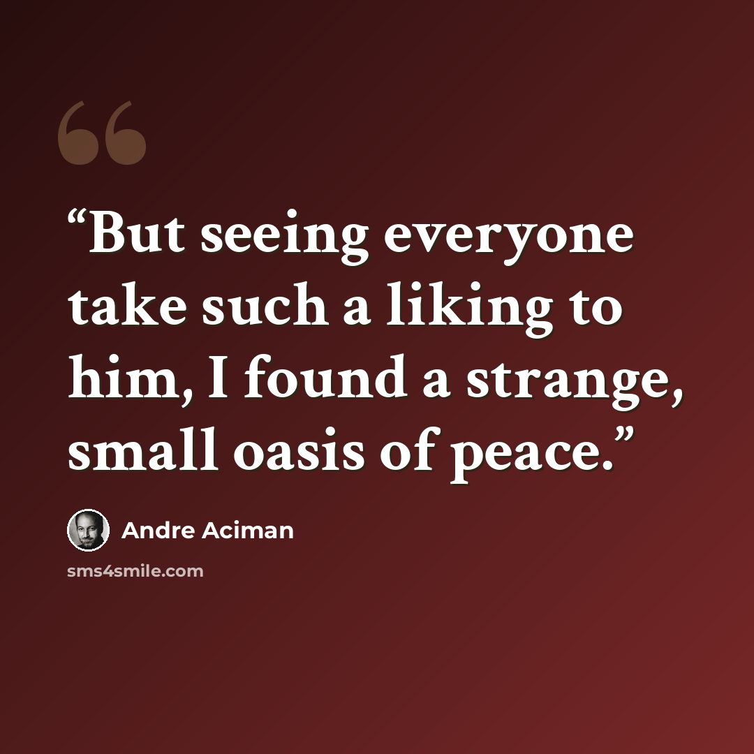 “But seeing everyone take such a liking to him, I found a strange, small oasis of peace.” quote by André Aciman