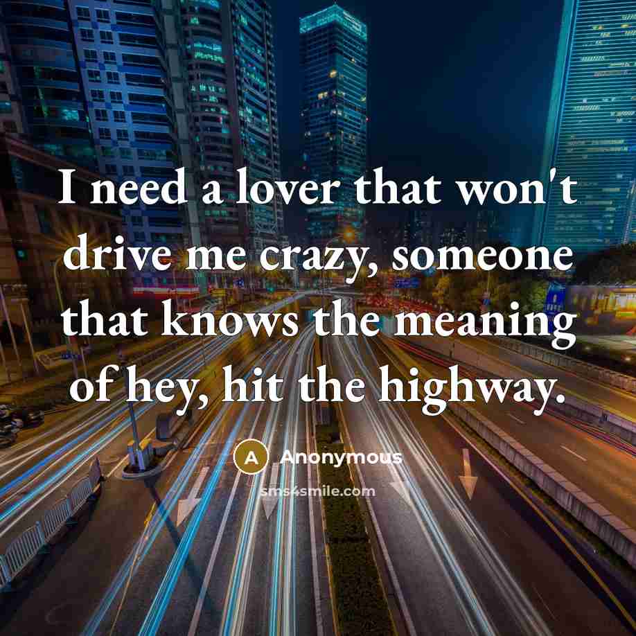 “I need a lover that won't drive me crazy, someone that knows the meaning of hey, hit the highway.” quote by Anonymous
