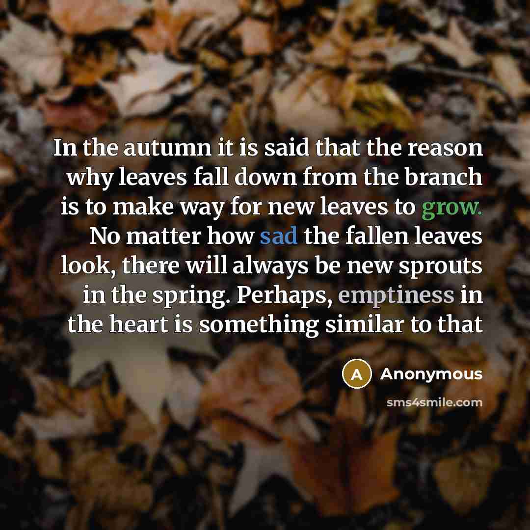 “In the autumn it is said that the reason why leaves fall down from the branch is to make way for new leaves to grow. No matter how sad the fallen leaves look, there will always be new sprouts in the spring. Perhaps, emptiness in the heart is something similar to that” quote by Anonymous
