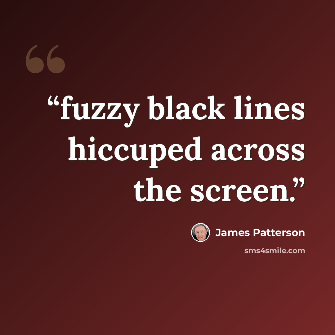 “fuzzy black lines hiccuped across the screen.” quote by James Patterson