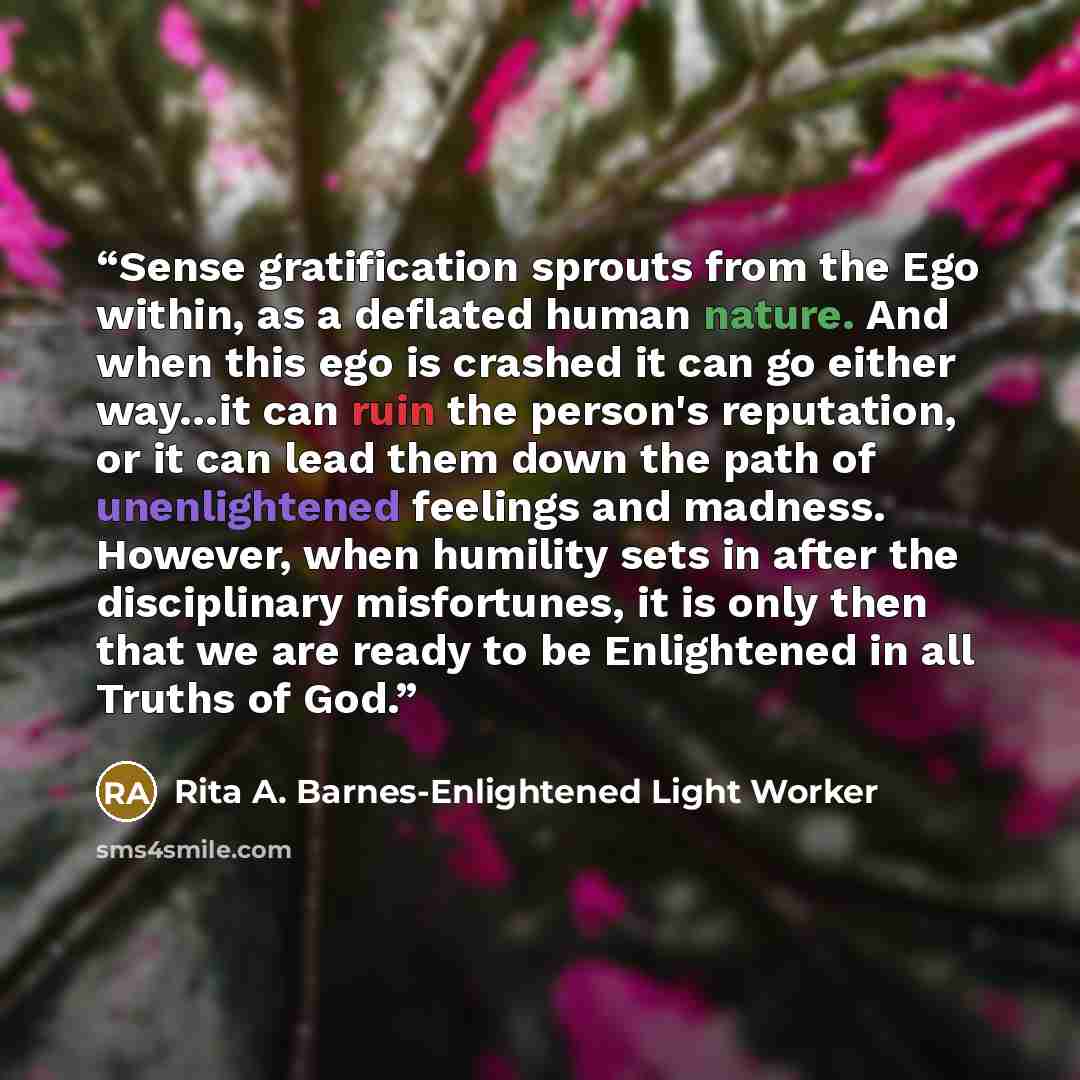 “Sense gratification sprouts from the Ego within, as a deflated human nature. And when this ego is crashed it can go either way…it can ruin the person's reputation, or it can lead them down the path of unenlightened feelings and madness. However, when humility sets in after the disciplinary…” quote by Rita A. Barnes-Enlightened Light Worker