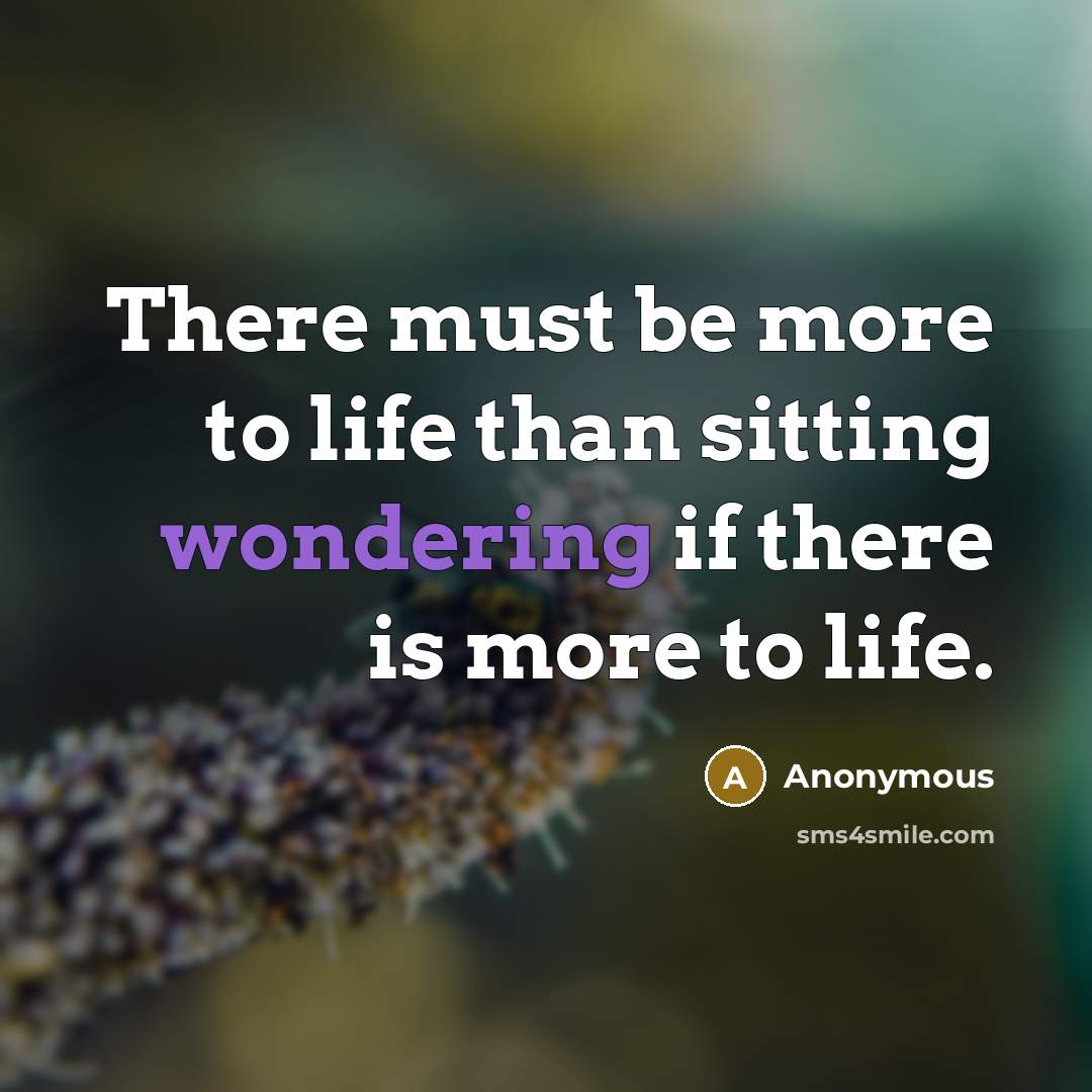 “There must be more to life than sitting wondering if there is more to life.” quote by Anonymous