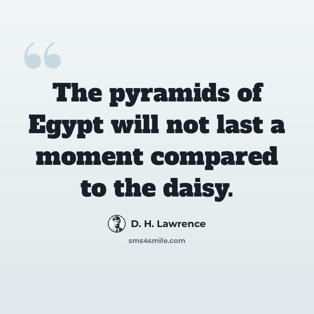 “The pyramids of Egypt will not last a moment compared to the daisy.” quote by D. H. Lawrence