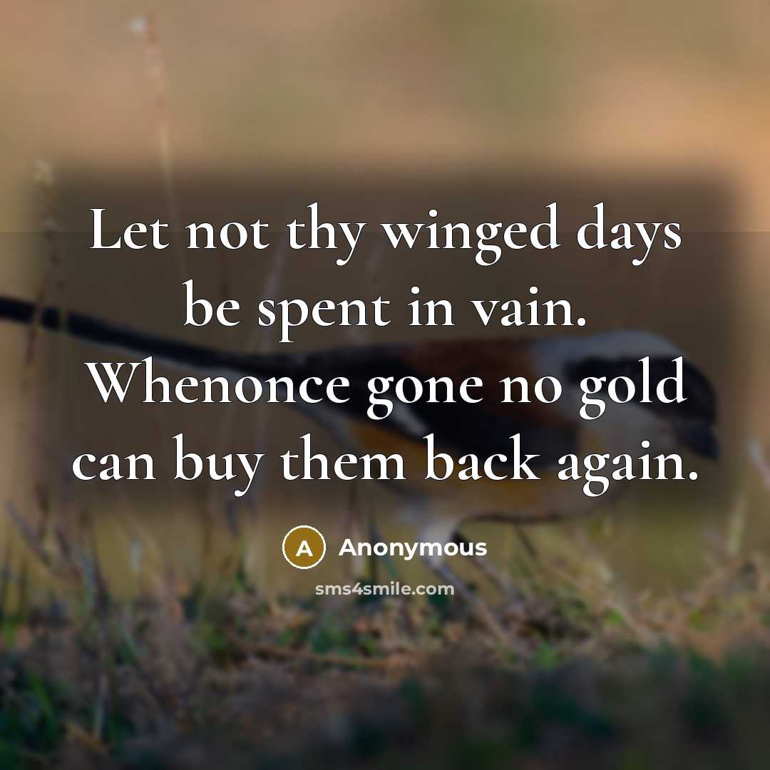 “Let not thy winged days be spent in vain. Whenonce gone no gold can buy them back again.” quote by Anonymous