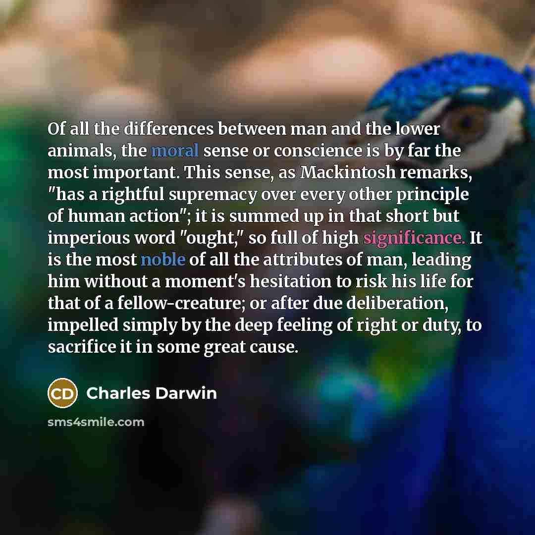 “Of all the differences between man and the lower animals, the moral sense or conscience is by far the most important. This sense, as Mackintosh remarks, "has a rightful supremacy over every other principle of human action"; it is summed up in that short but imperious word "ought," so full of high…” quote by Charles Darwin