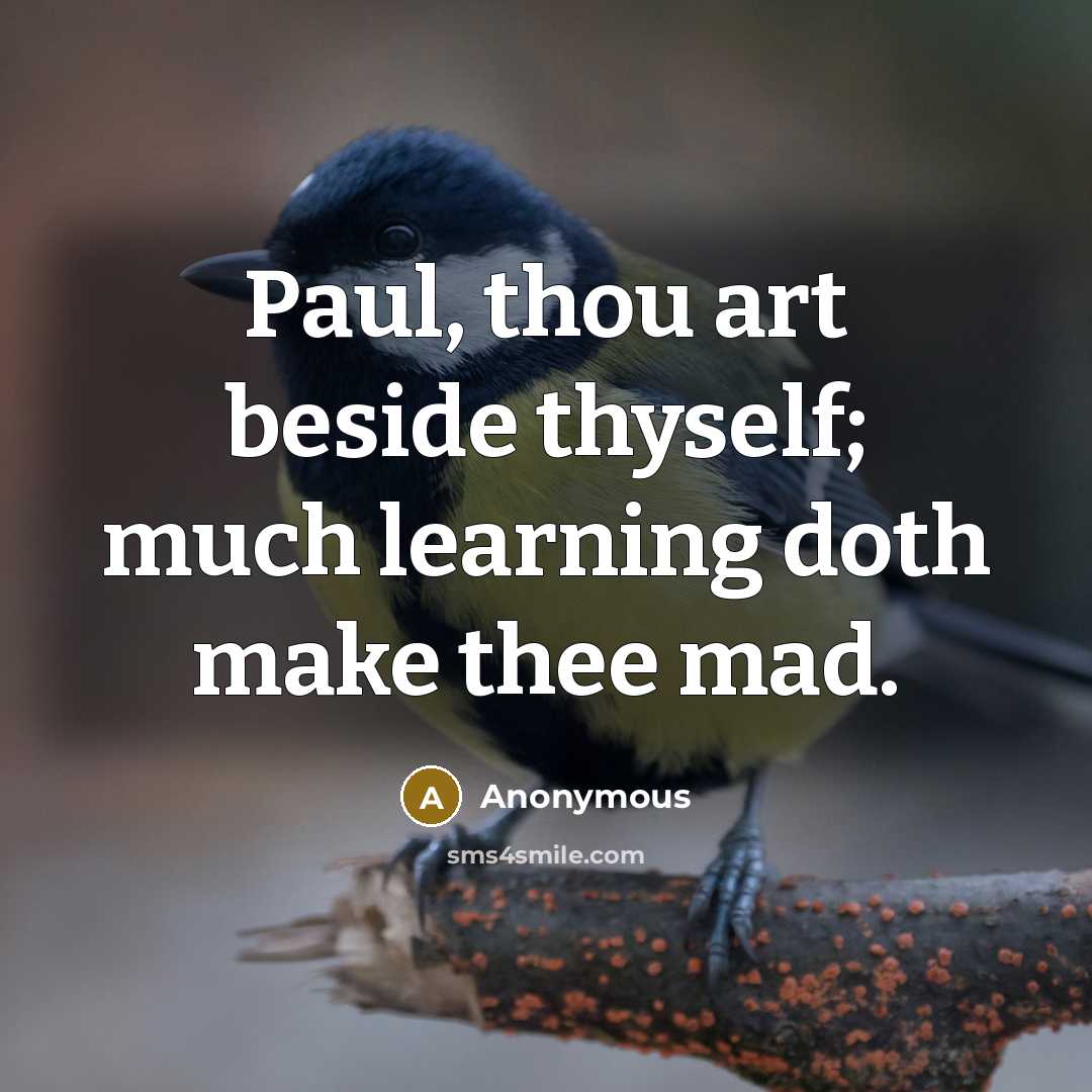 “Paul, thou art beside thyself; much learning doth make thee mad.” quote by Anonymous