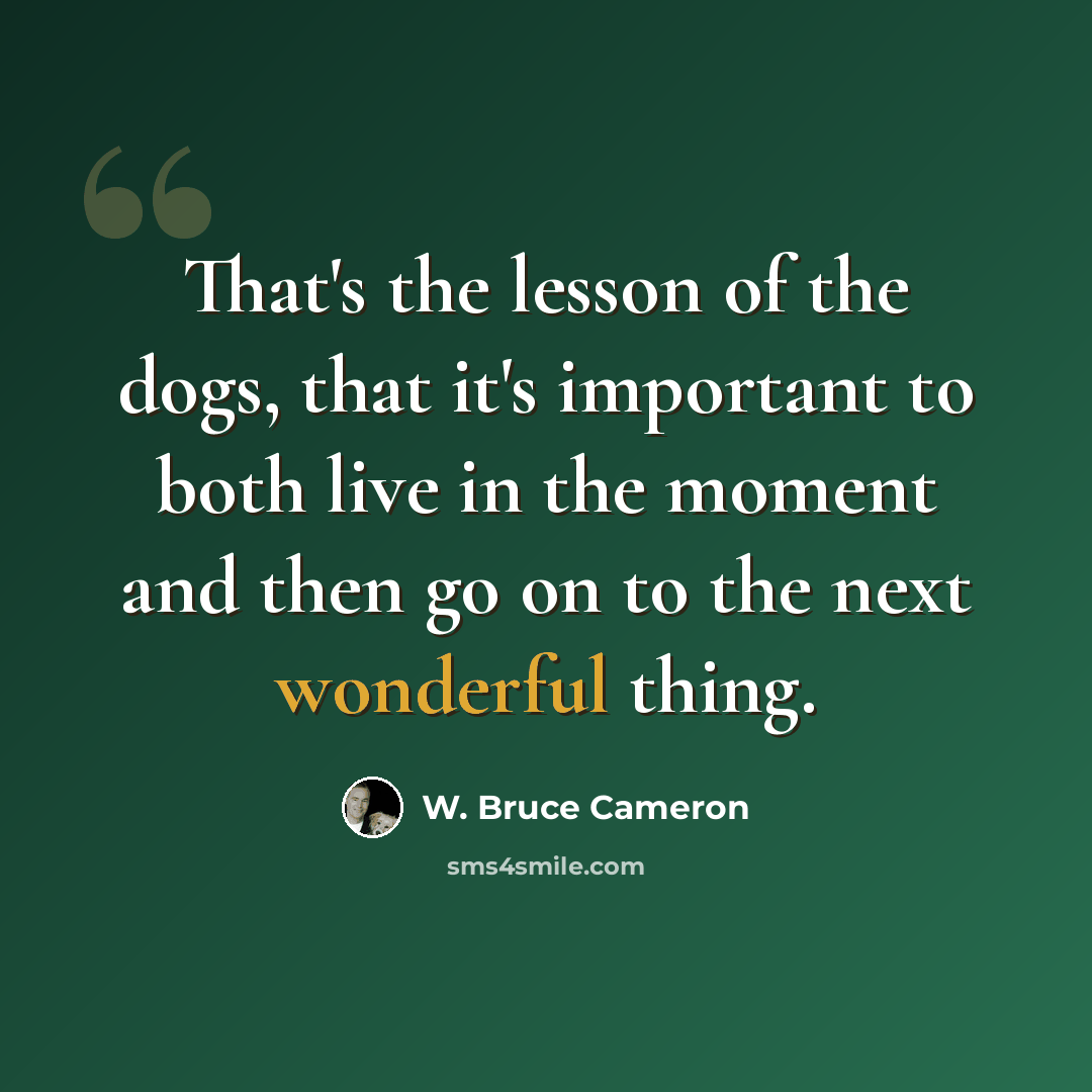 “That's the lesson of the dogs, that it's important to both live in the moment and then go on to the next wonderful thing.” quote by W. Bruce Cameron