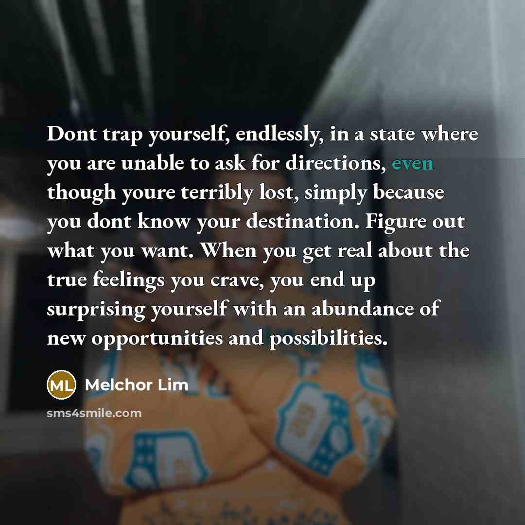 “Dont trap yourself, endlessly, in a state where you are unable to ask for directions, even though youre terribly lost, simply because you dont know your destination. Figure out what you want. When you get real about the true feelings you crave, you end up surprising yourself with an abundance of…” quote by Melchor Lim