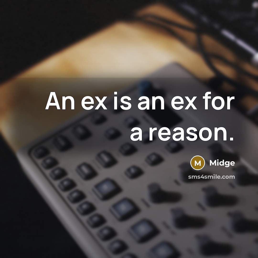 “An ex is an ex for a reason.” quote by Midge