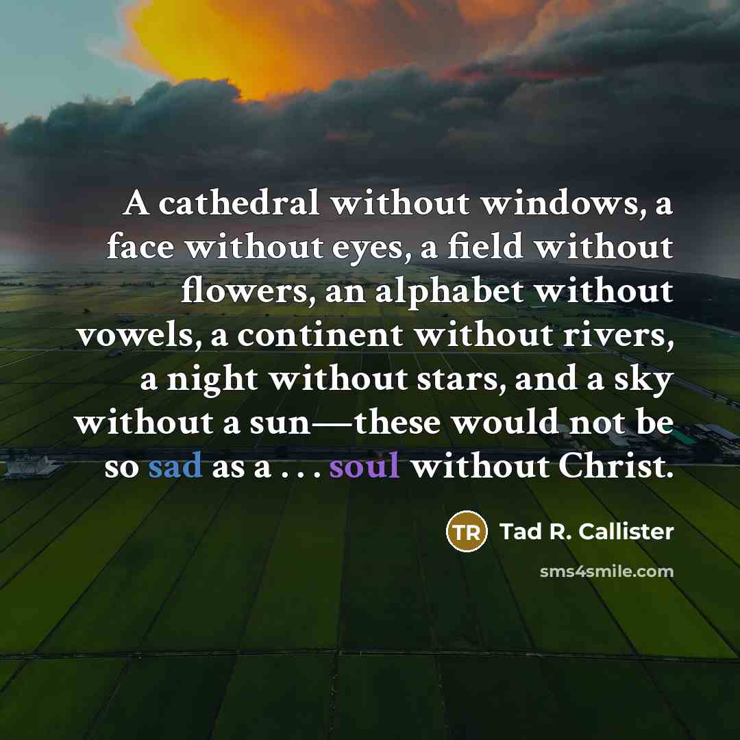 “A cathedral without windows, a face without eyes, a field without flowers, an alphabet without vowels, a continent without rivers, a night without stars, and a sky without a sun—these would not be so sad as a . . . soul without Christ.” quote by Tad R. Callister