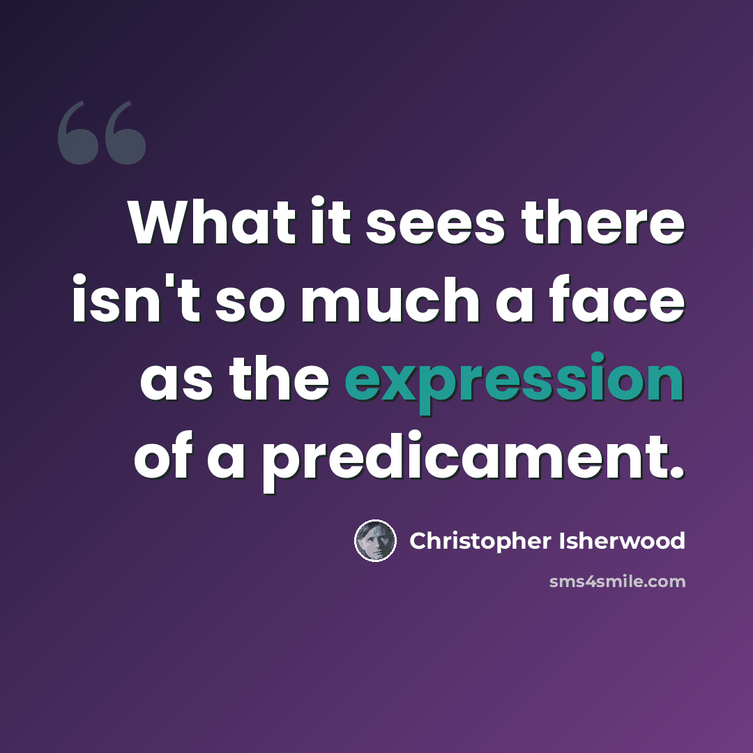 “What it sees there isn't so much a face as the expression of a predicament.” quote by Christopher Isherwood
