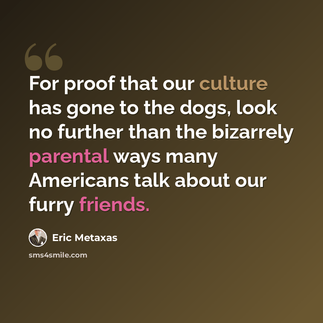 “For proof that our culture has gone to the dogs, look no further than the bizarrely parental ways many Americans talk about our furry friends.” quote by Eric Metaxas