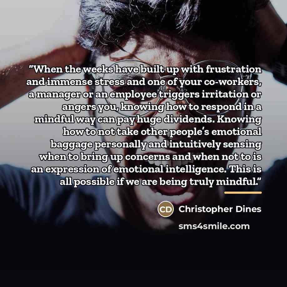 “When the weeks have built up with frustration and immense stress and one of your co-workers, a manager or an employee triggers irritation or angers you, knowing how to respond in a mindful way can pay huge dividends. Knowing how to not take other people’s emotional baggage personally and…” quote by Christopher Dines