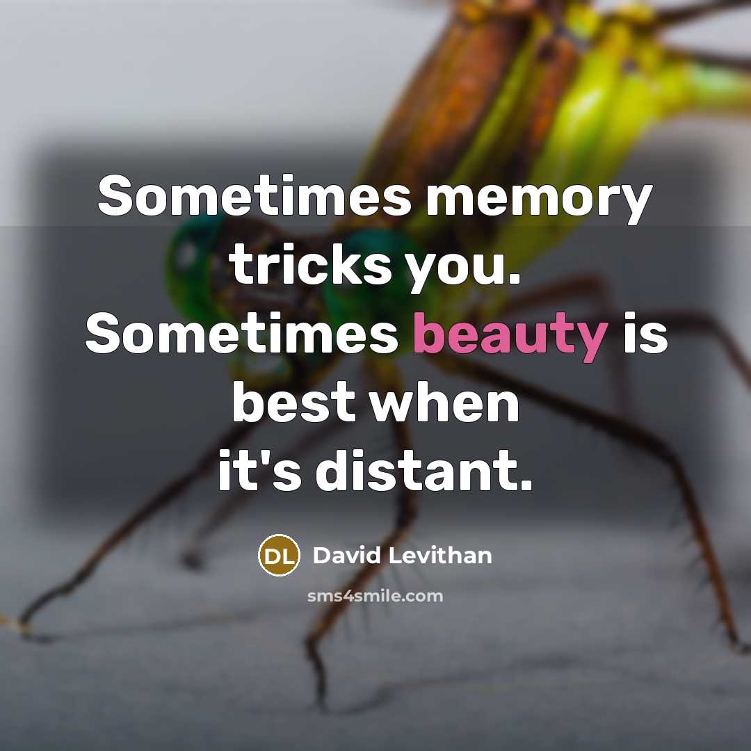 “Sometimes memory tricks you. Sometimes beauty is best when it's distant.” quote by David Levithan