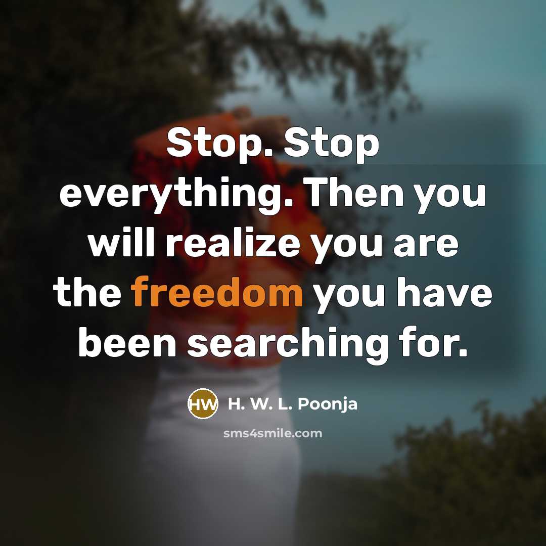 “Stop. Stop everything. Then you will realize you are the freedom you have been searching for.” quote by H. W. L. Poonja
