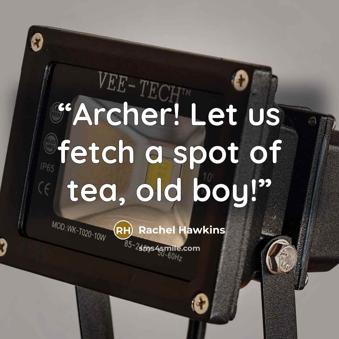 “Archer! Let us fetch a spot of tea, old boy!” quote by Rachel Hawkins