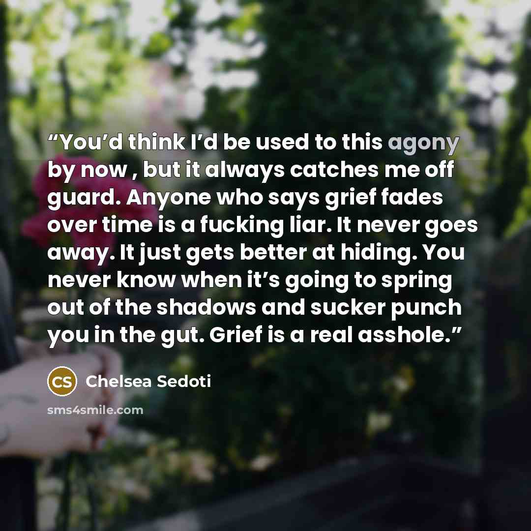 “You’d think I’d be used to this agony by now , but it always catches me off guard. Anyone who says grief fades over time is a fucking liar. It never goes away. It just gets better at hiding. You never know when it’s going to spring out of the shadows and sucker punch you in the gut. Grief is a…” quote by Chelsea Sedoti