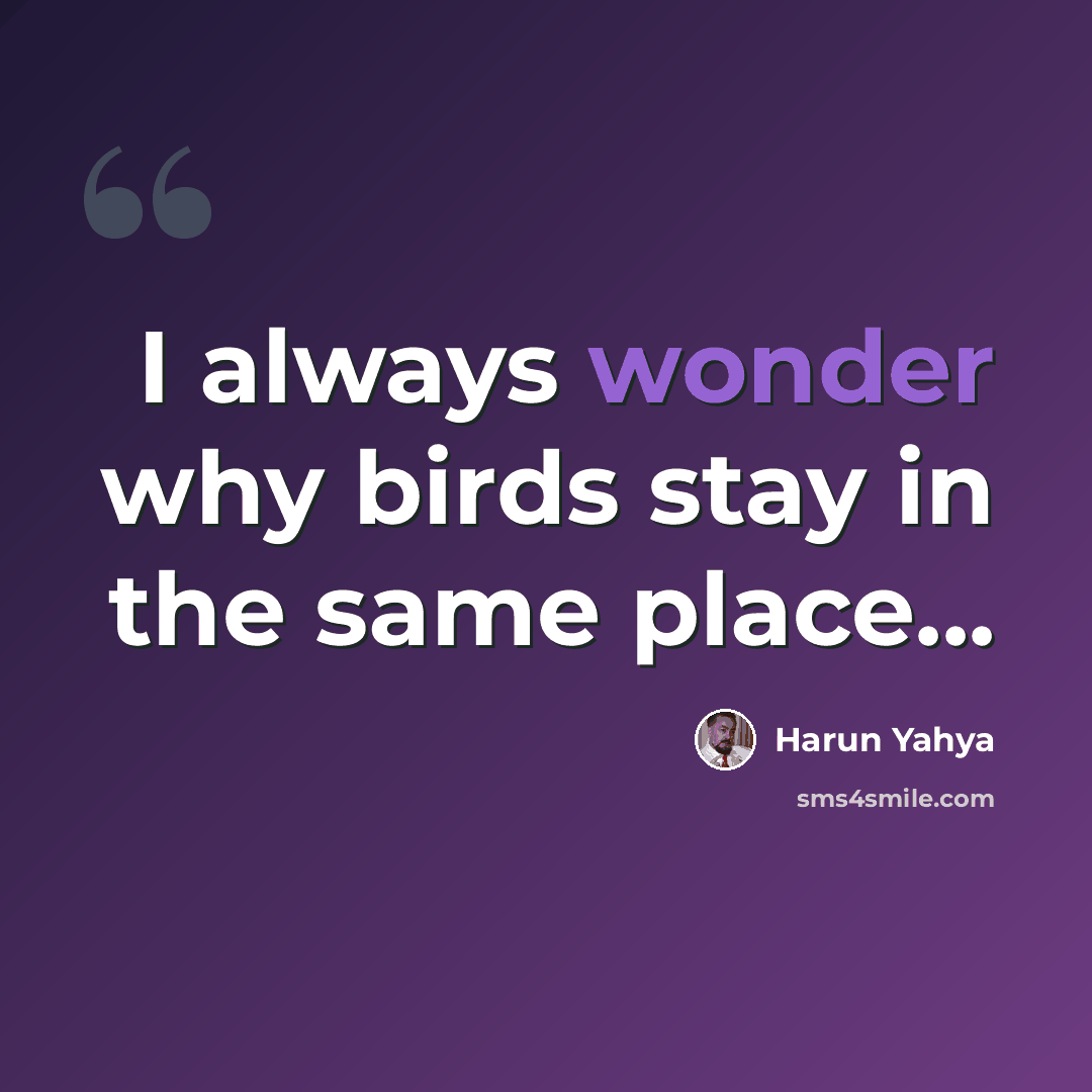 “I always wonder why birds stay in the same place...” quote by Harun Yahya