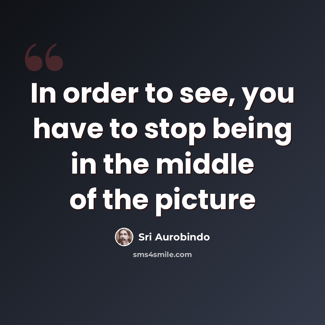 “In order to see, you have to stop being in the middle of the picture” quote by Sri Aurobindo