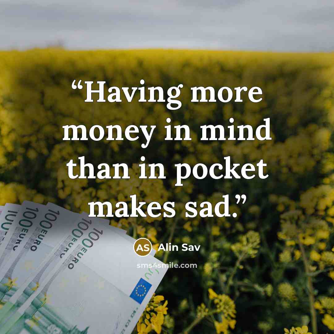 “Having more money in mind than in pocket makes sad.” quote by Alin Sav