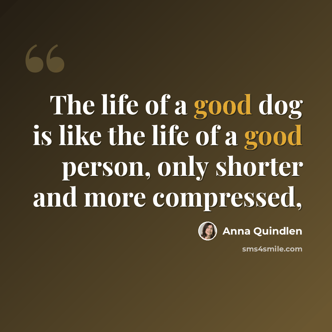 “The life of a good dog is like the life of a good person, only shorter and more compressed,” quote by Anna Quindlen