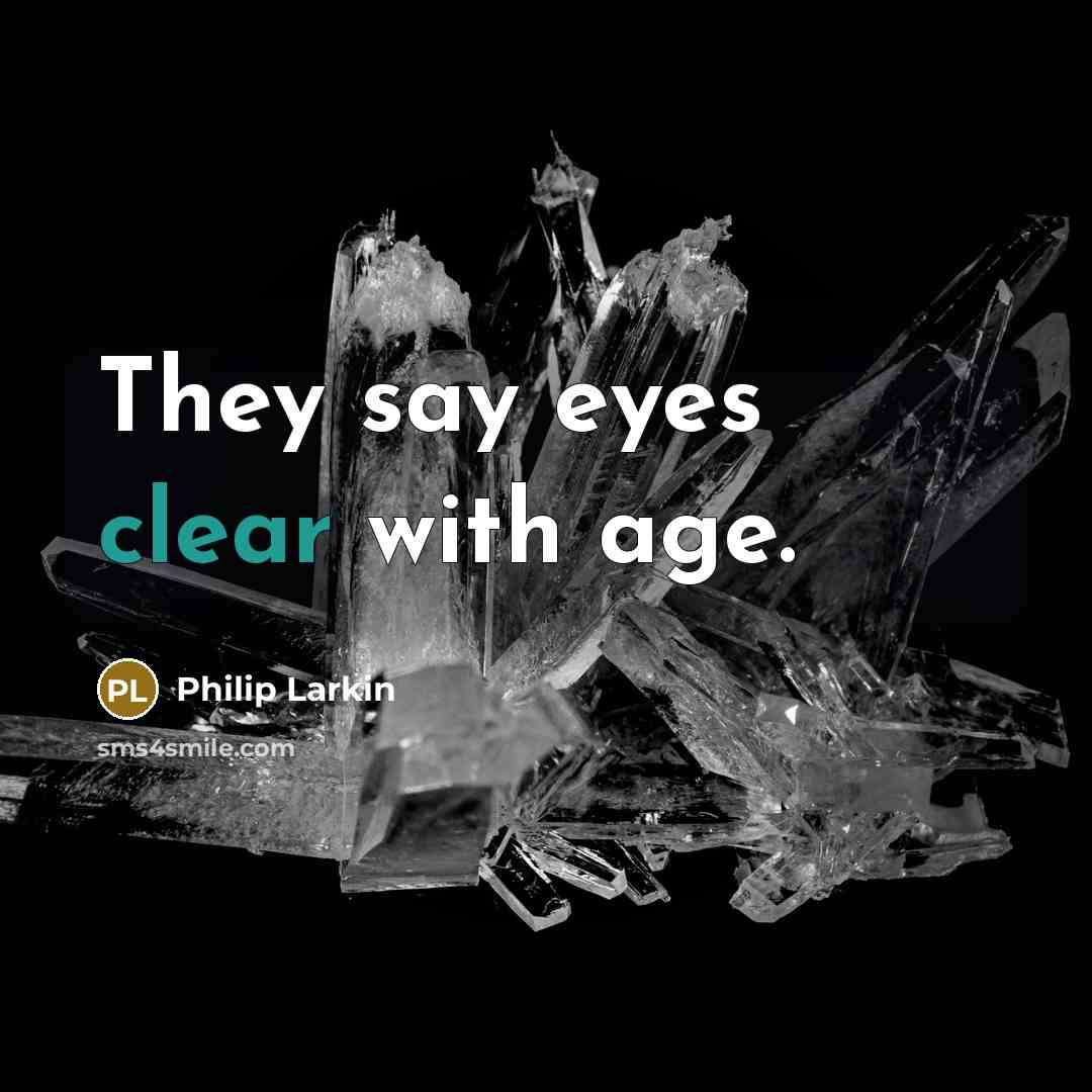 “They say eyes clear with age.” quote by Philip Larkin