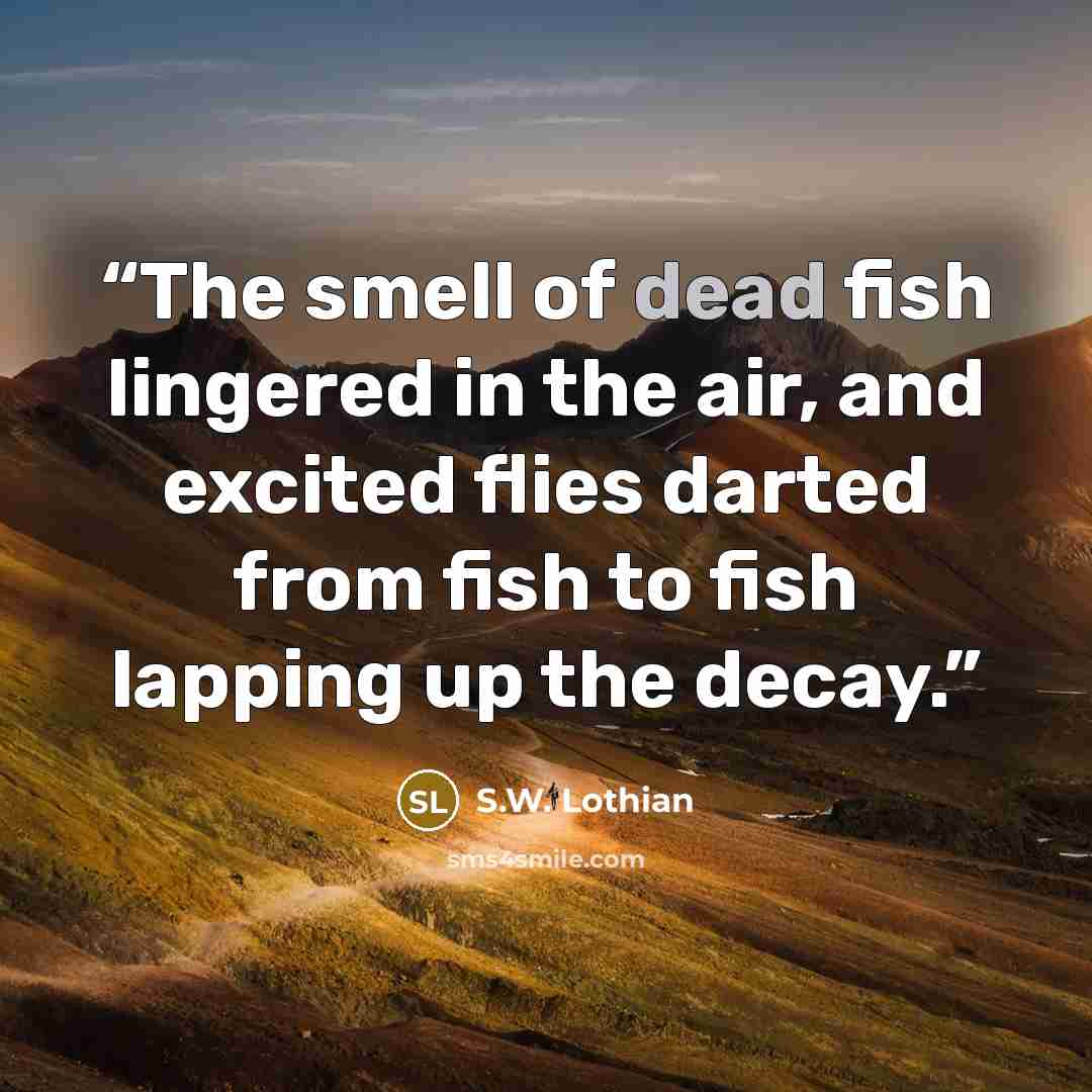 “The smell of dead fish lingered in the air, and excited flies darted from fish to fish lapping up the decay.” quote by S.W. Lothian