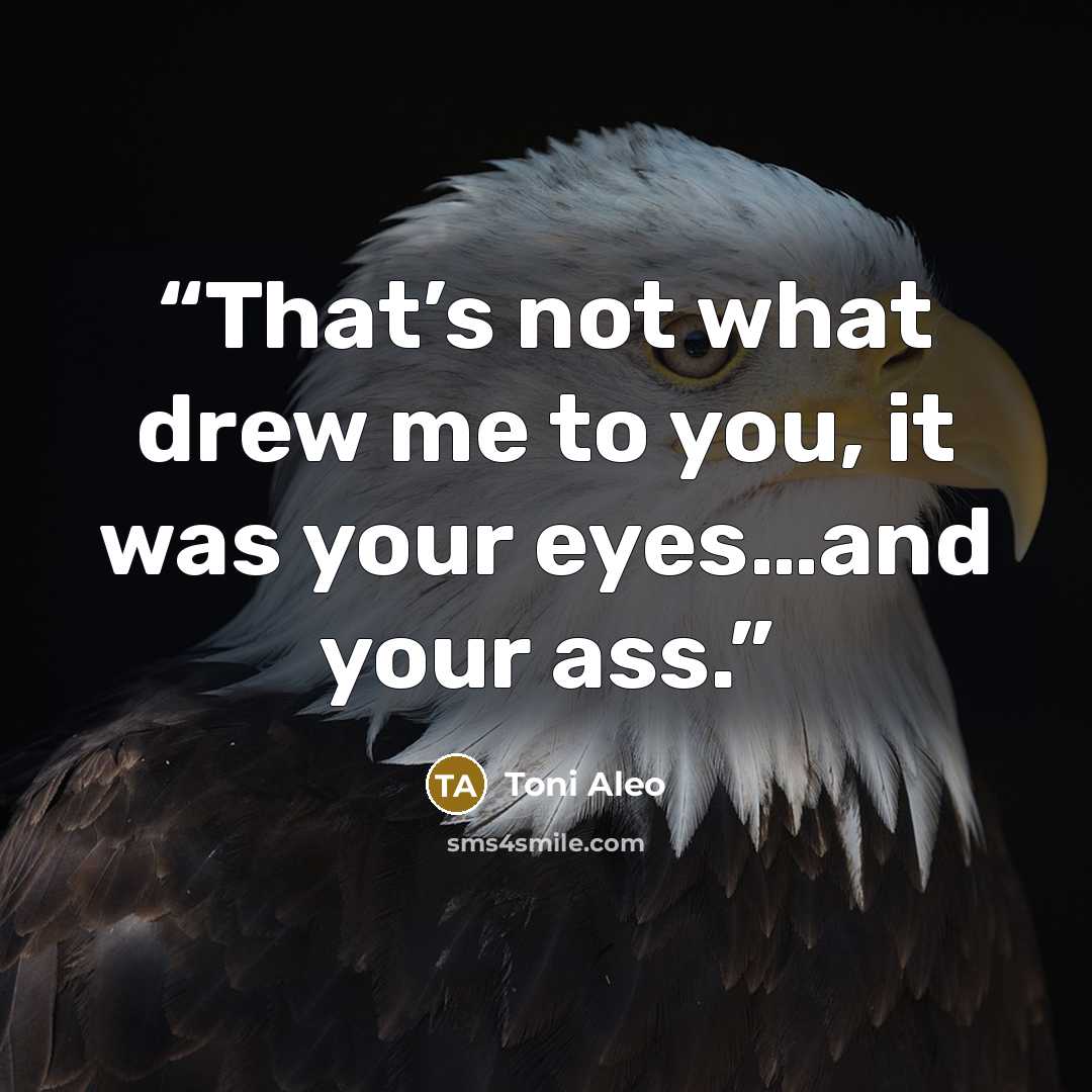 “That’s not what drew me to you, it was your eyes…and your ass.” quote by Toni Aleo