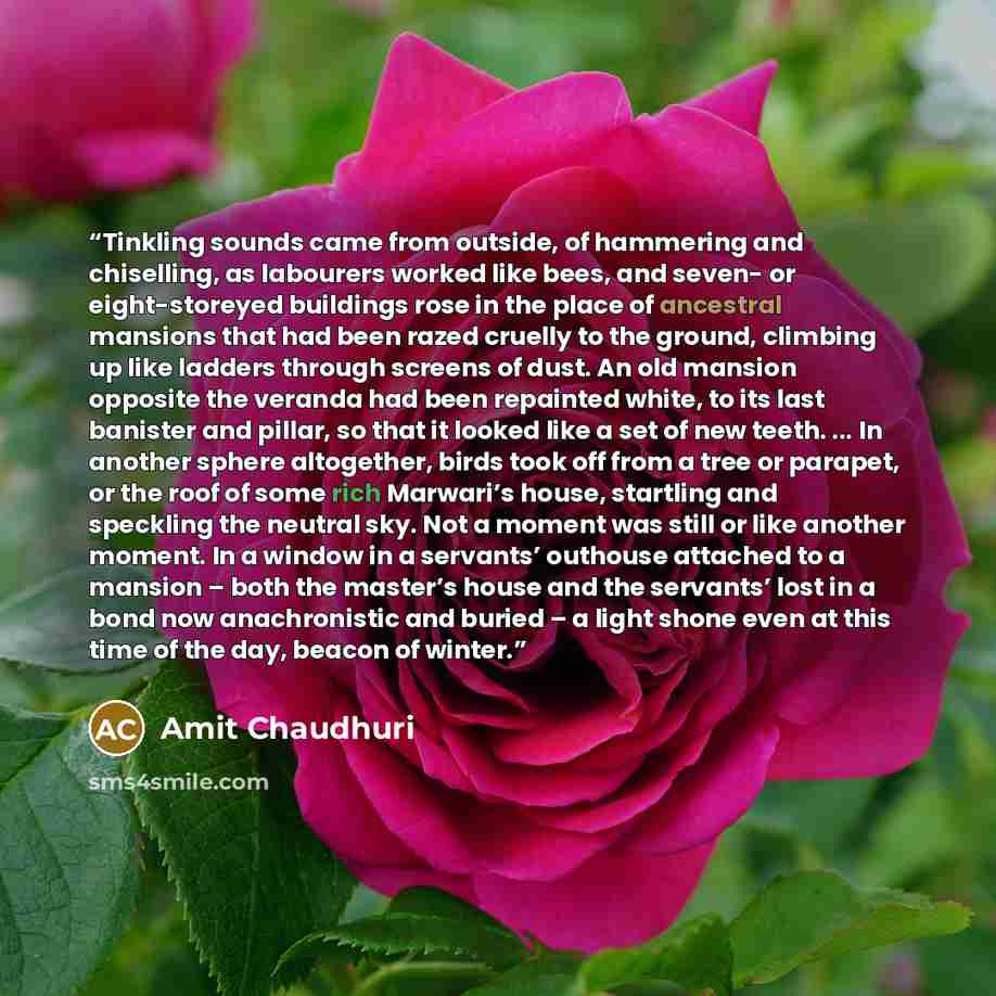 “Tinkling sounds came from outside, of hammering and chiselling, as labourers worked like bees, and seven- or eight-storeyed buildings rose in the place of ancestral mansions that had been razed cruelly to the ground, climbing up like ladders through screens of dust. An old mansion opposite the…” quote by Amit Chaudhuri