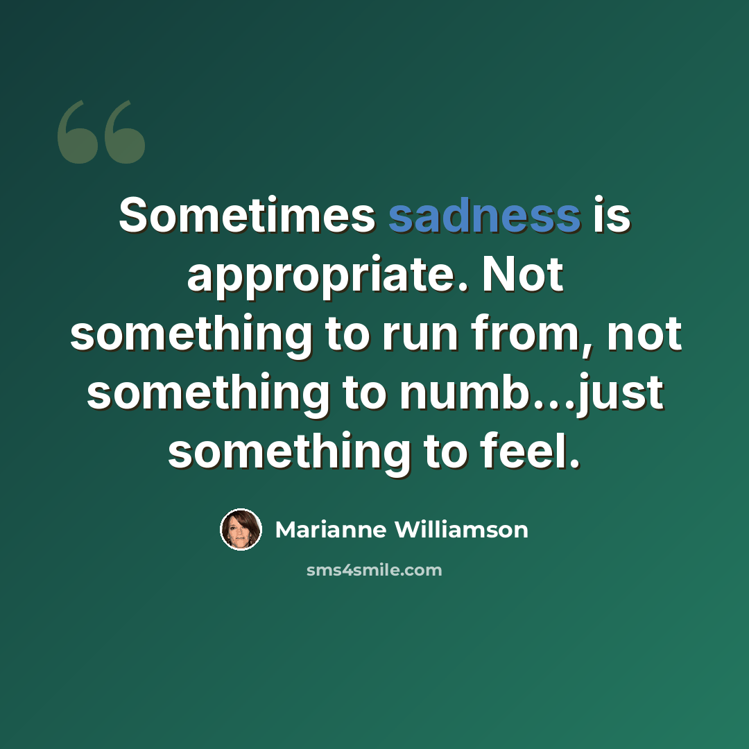 “Sometimes sadness is appropriate. Not something to run from, not something to numb...just something to feel.” quote by Marianne Williamson
