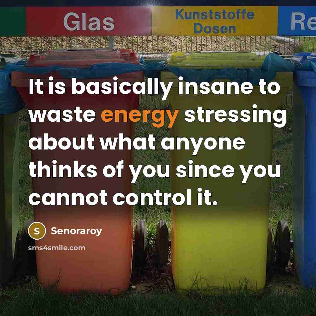 “It is basically insane to waste energy stressing about what anyone thinks of you since you cannot control it.” quote by Senoraroy