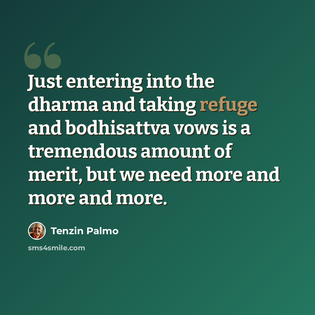 “Just entering into the dharma and taking refuge and bodhisattva vows is a tremendous amount of merit, but we need more and more and more.” quote by Tenzin Palmo