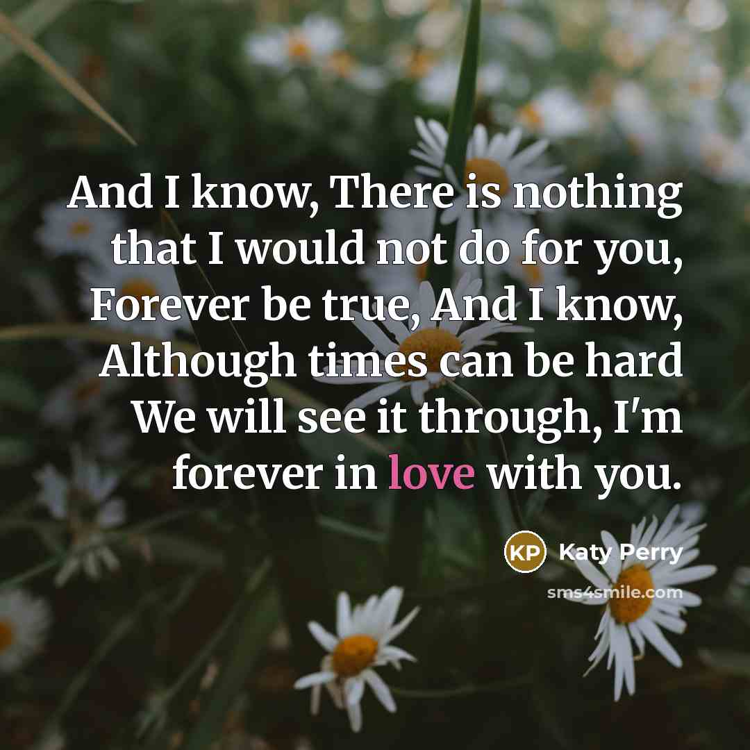 “And I know, There is nothing that I would not do for you, Forever be true, And I know, Although times can be hard We will see it through, I'm forever in love with you.” quote by Katy Perry