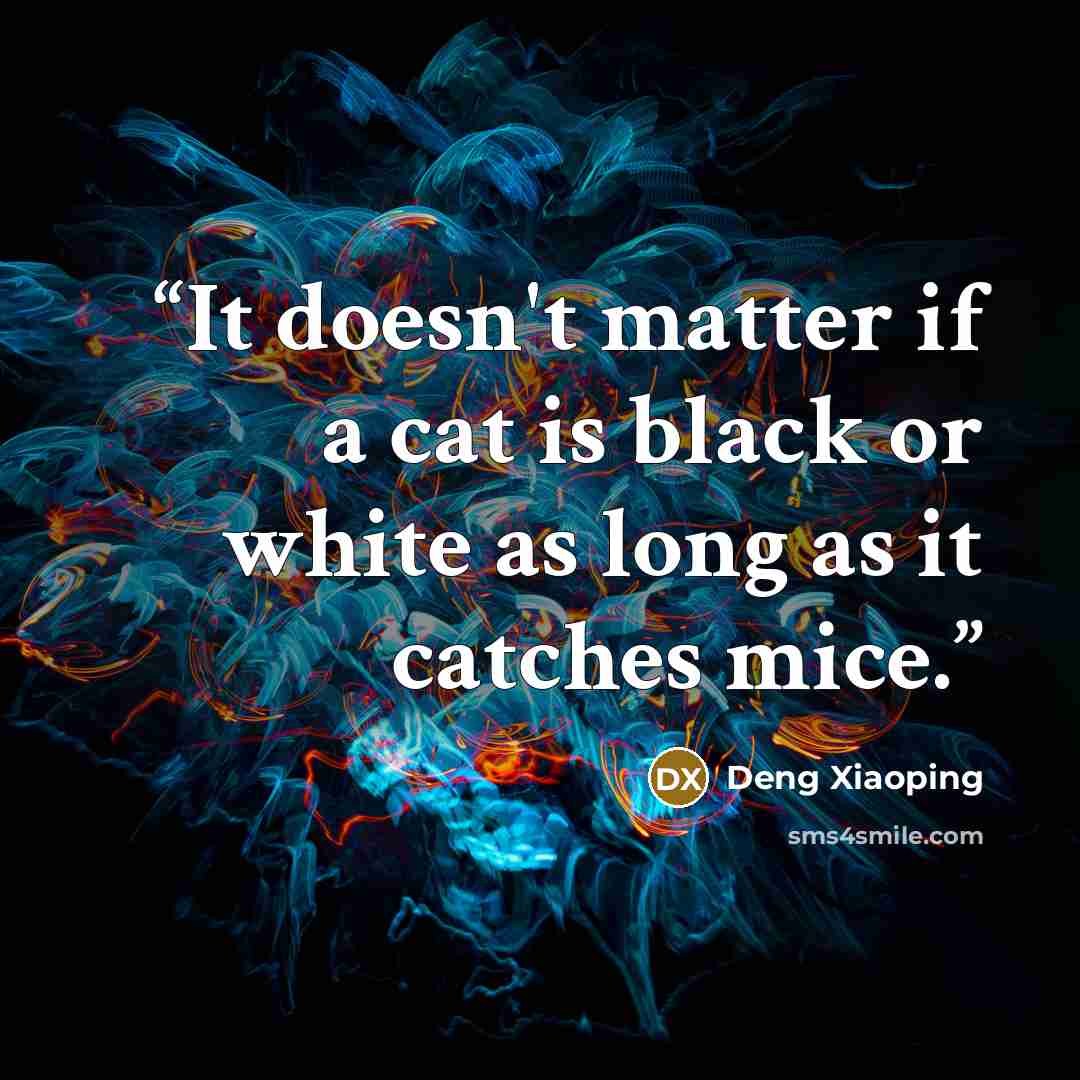 “It doesn't matter if a cat is black or white as long as it catches mice.” quote by Deng Xiaoping