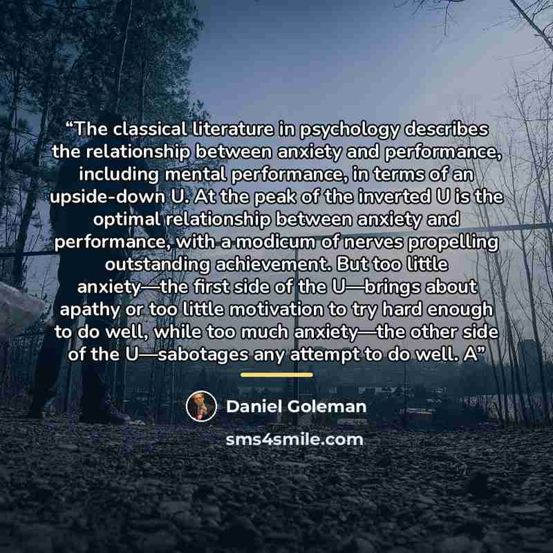 “The classical literature in psychology describes the relationship between anxiety and performance, including mental performance, in terms of an upside-down U. At the peak of the inverted U is the optimal relationship between anxiety and performance, with a modicum of nerves propelling outstanding…” quote by Daniel Goleman