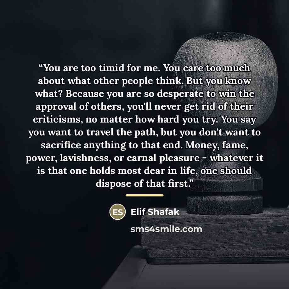 “You are too timid for me. You care too much about what other people think. But you know what? Because you are so desperate to win the approval of others, you'll never get rid of their criticisms, no matter how hard you try. You say you want to travel the path, but you don't want to sacrifice…” quote by Elif Shafak