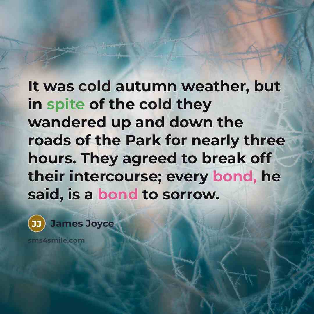 “It was cold autumn weather, but in spite of the cold they wandered up and down the roads of the Park for nearly three hours. They agreed to break off their intercourse; every bond, he said, is a bond to sorrow.” quote by James Joyce
