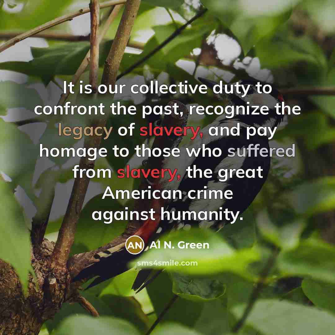 “It is our collective duty to confront the past, recognize the legacy of slavery, and pay homage to those who suffered from slavery, the great American crime against humanity.” quote by Al N. Green