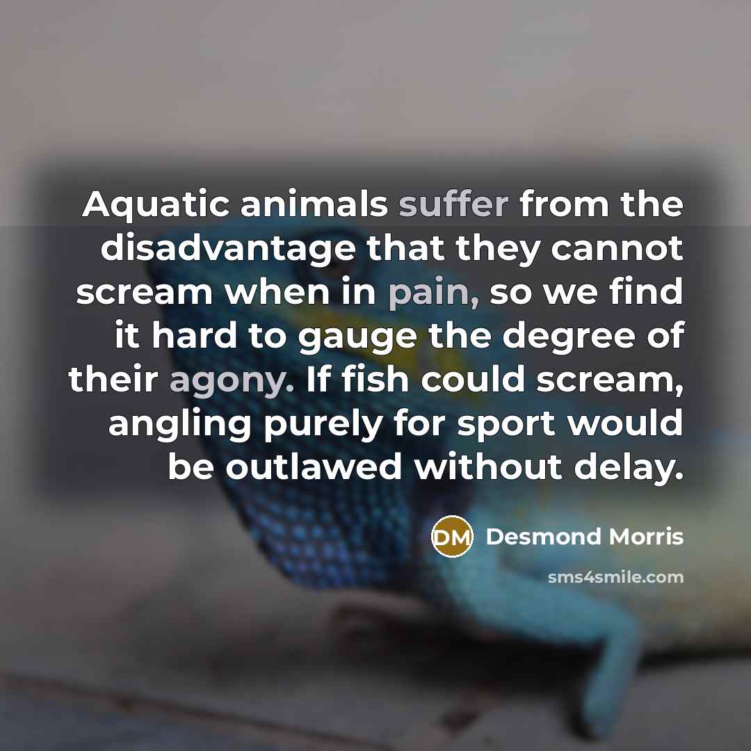 “Aquatic animals suffer from the disadvantage that they cannot scream when in pain, so we find it hard to gauge the degree of their agony. If fish could scream, angling purely for sport would be outlawed without delay.” quote by Desmond Morris