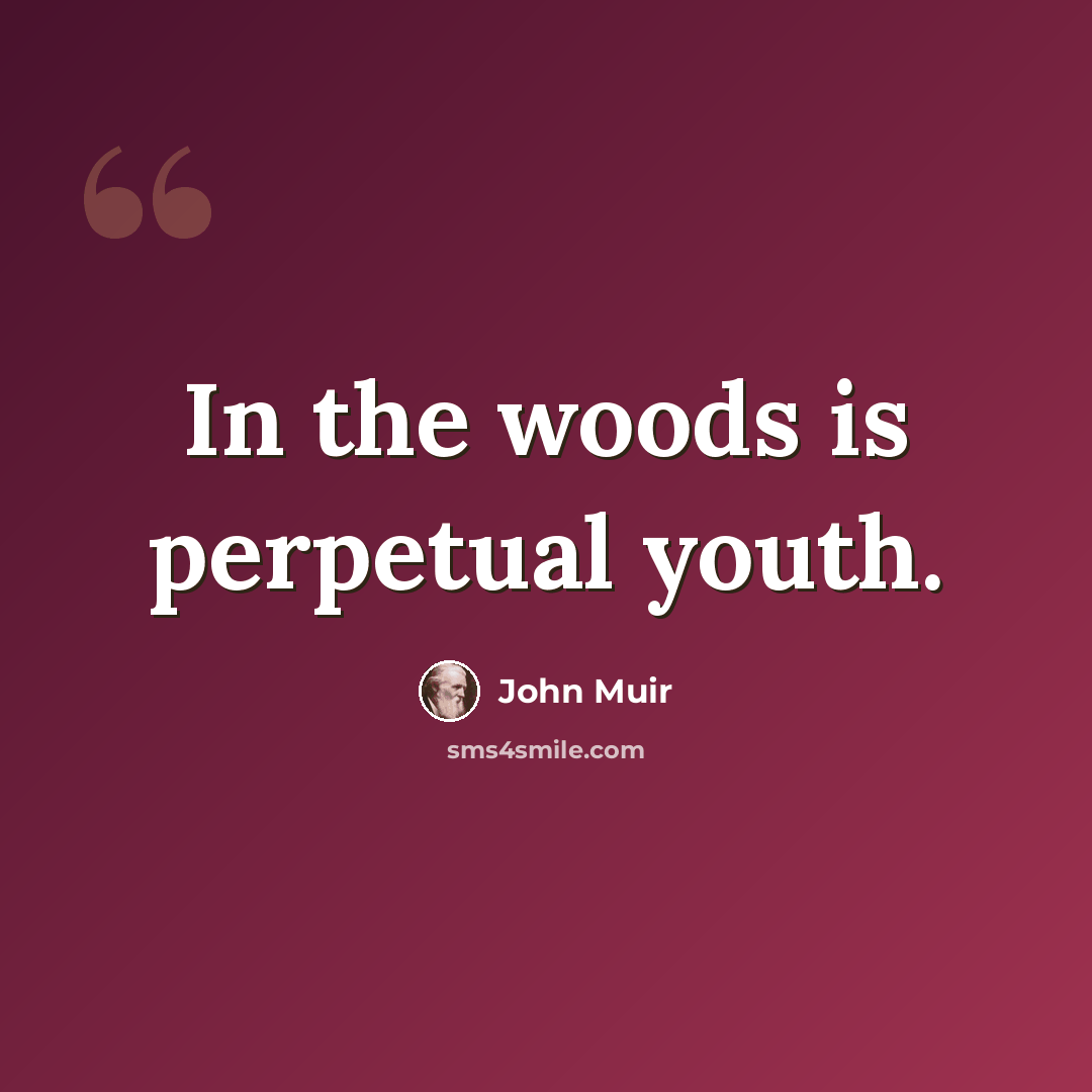 “In the woods is perpetual youth.” quote by John Muir