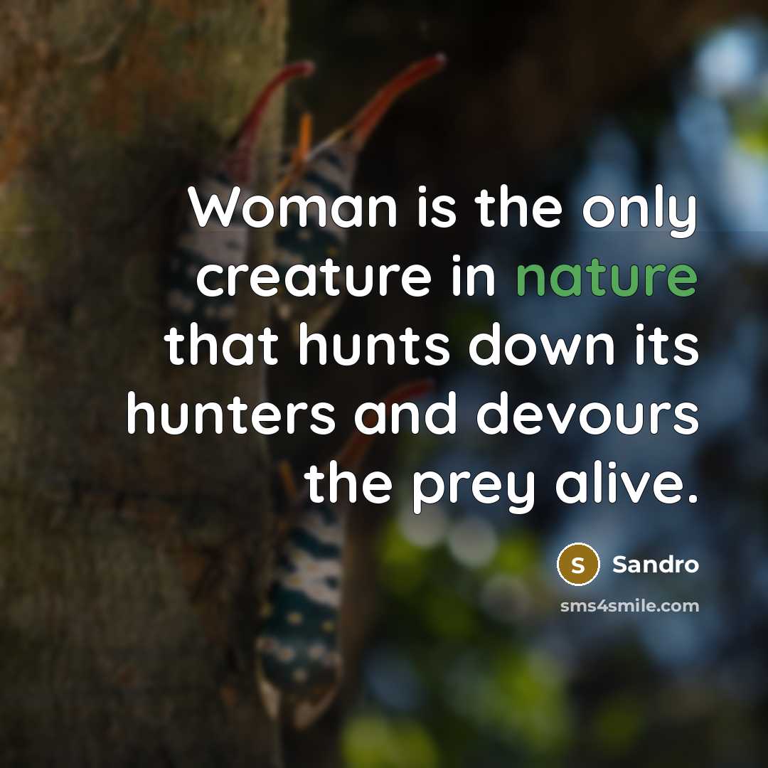 “Woman is the only creature in nature that hunts down its hunters and devours the prey alive.” quote by Sandro