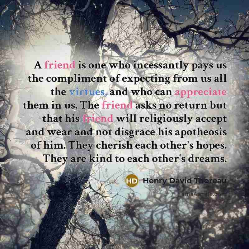 “A friend is one who incessantly pays us the compliment of expecting from us all the virtues, and who can appreciate them in us. The friend asks no return but that his friend will religiously accept and wear and not disgrace his apotheosis of him. They cherish each other's hopes. They are kind to…” quote by Henry David Thoreau