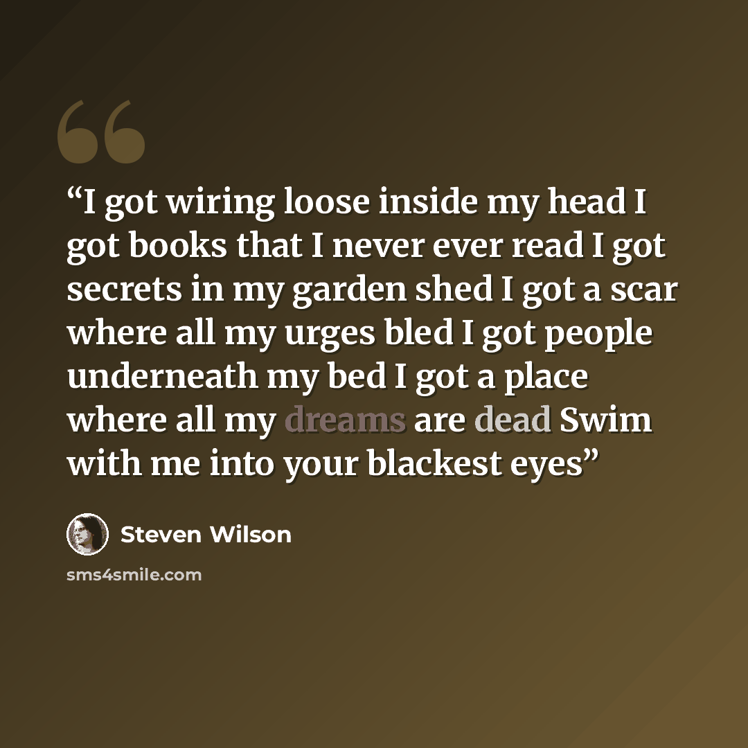 “I got wiring loose inside my head I got books that I never ever read I got secrets in my garden shed I got a scar where all my urges bled I got people underneath my bed I got a place where all my dreams are dead Swim with me into your blackest eyes” quote by Steven Wilson