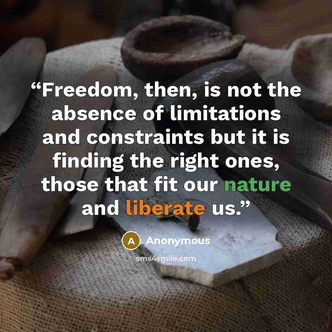 “Freedom, then, is not the absence of limitations and constraints but it is finding the right ones, those that fit our nature and liberate us.” quote by Anonymous