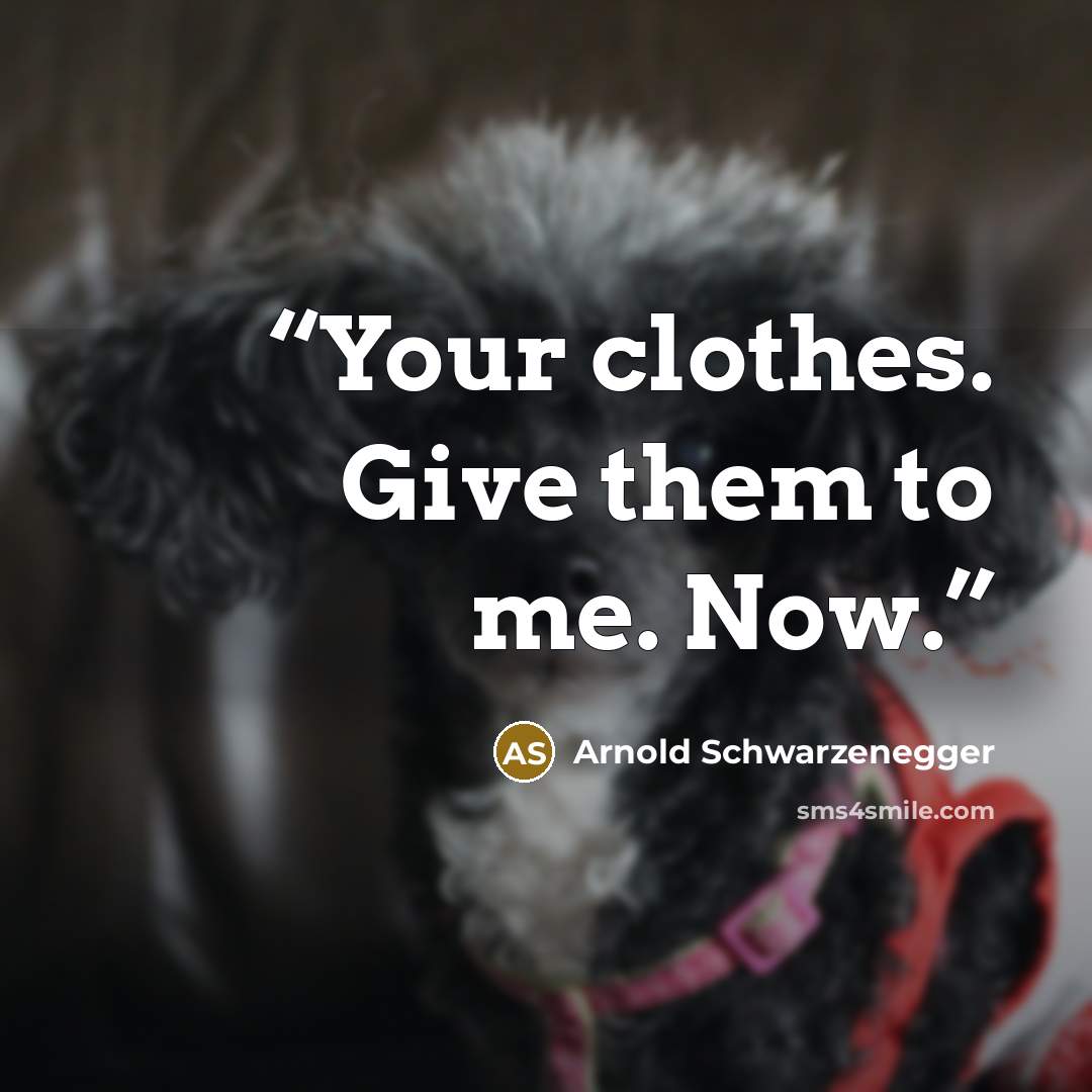 “Your clothes. Give them to me. Now.” quote by Arnold Schwarzenegger