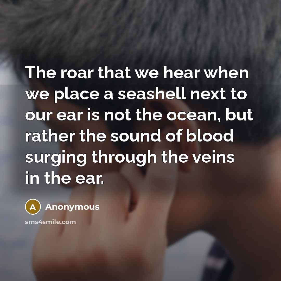 “The roar that we hear when we place a seashell next to our ear is not the ocean, but rather the sound of blood surging through the veins in the ear.” quote by Anonymous