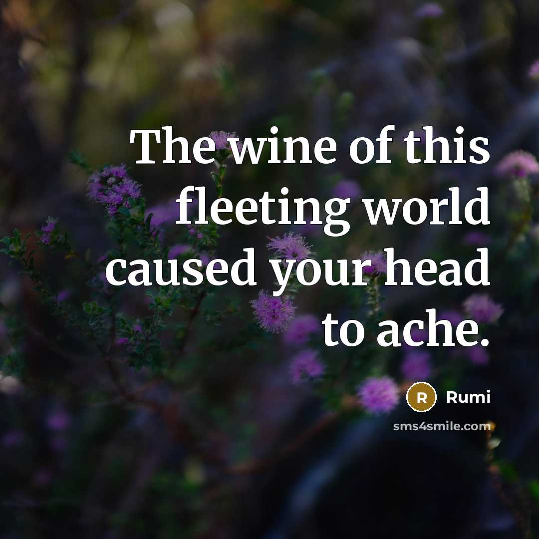 “The wine of this fleeting world caused your head to ache.” quote by Rumi