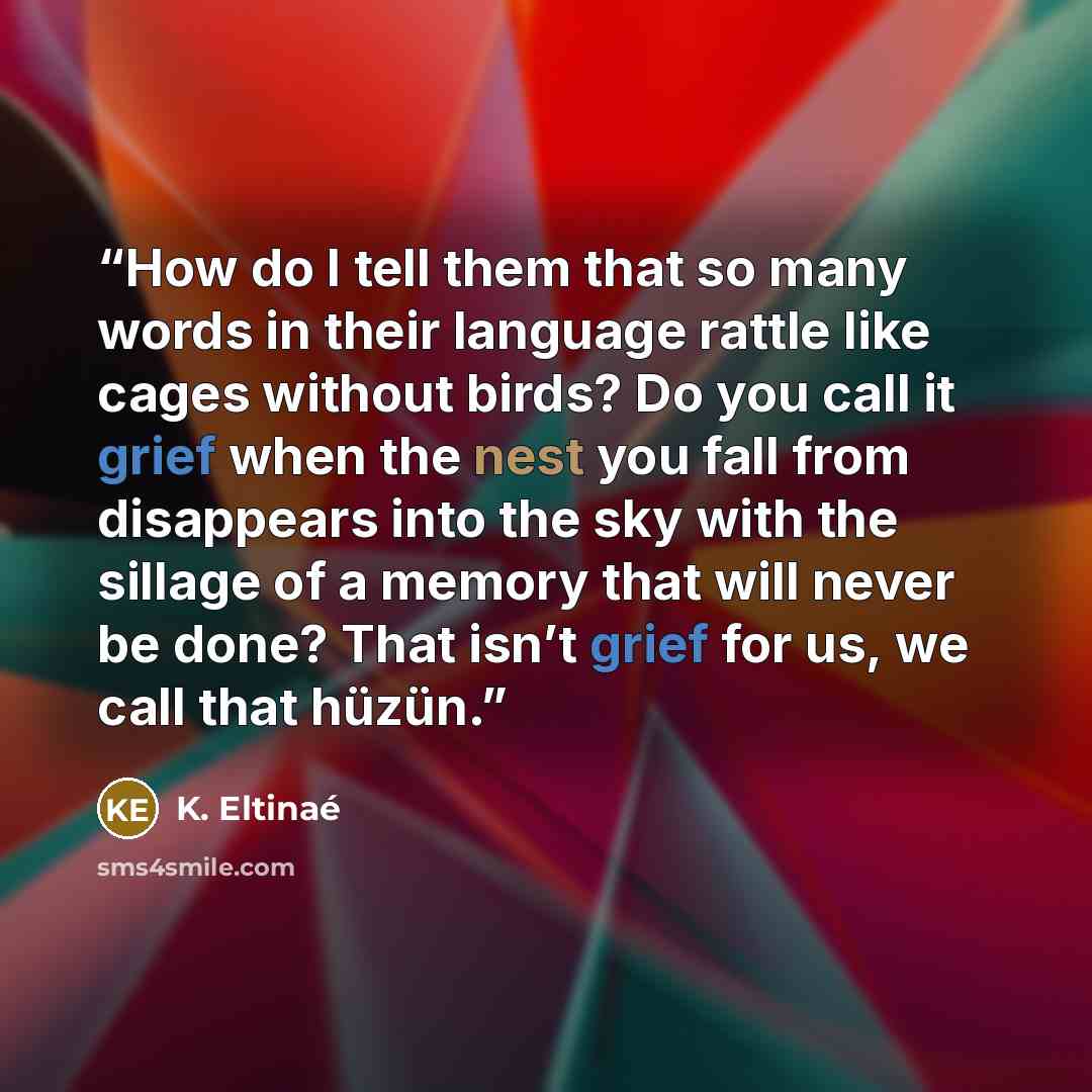 “How do I tell them that so many words in their language rattle like cages without birds? Do you call it grief when the nest you fall from disappears into the sky with the sillage of a memory that will never be done? That isn’t grief for us, we call that hüzün.” quote by K. Eltinaé